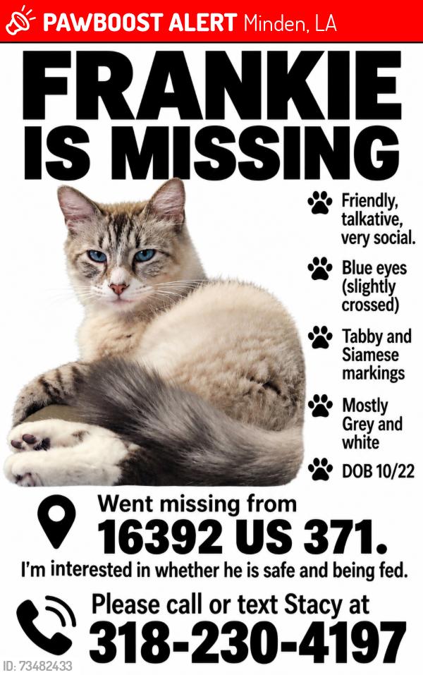 Lost Male Cat last seen Highway 371 and Doc Steed Road, Minden, LA 71055