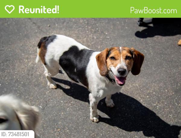 Reunited Female Dog last seen Eric lane, Amy Lynn circle, Hamilton, OH 45011