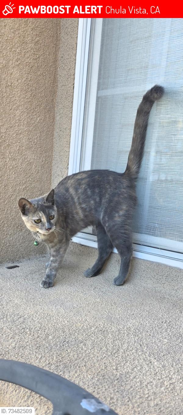 Lost Female Cat last seen Proctor valley road, Chula Vista, CA 91914
