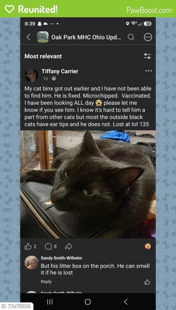 Reunited Male Cat last seen Eastern and 21, Doylestown, OH 44230