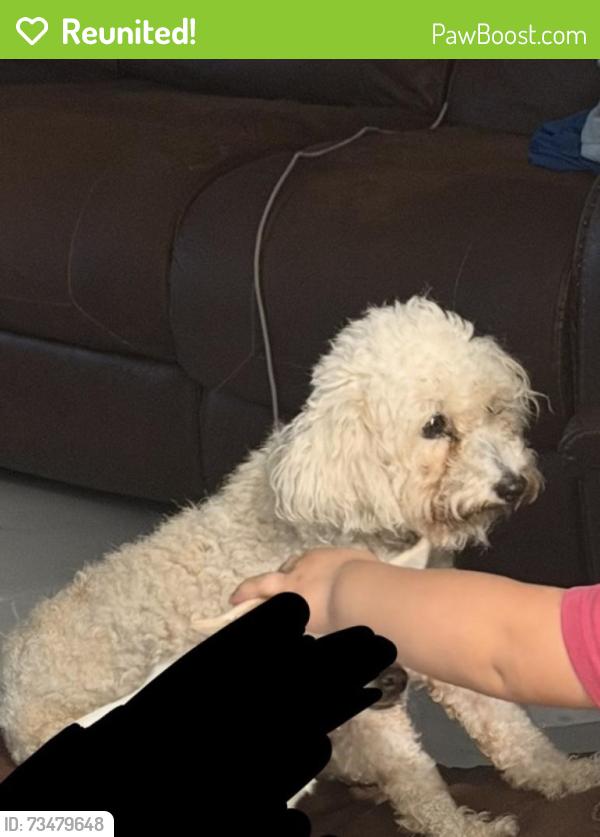 Reunited Female Dog last seen Near S Fiske blvrd, Rockledge, FL 32955