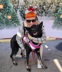 Lost Female Dog last seen Glendale & Alvarado Street, Los Angeles, CA 90026