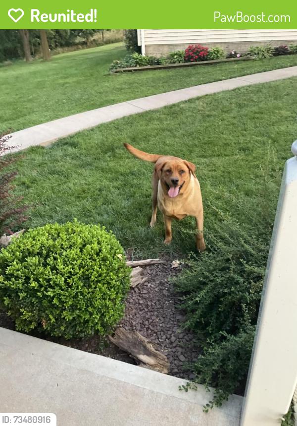 Reunited Female Dog last seen Along turnpike route 76 mile marker 257.5, Elizabethtown, PA 17022