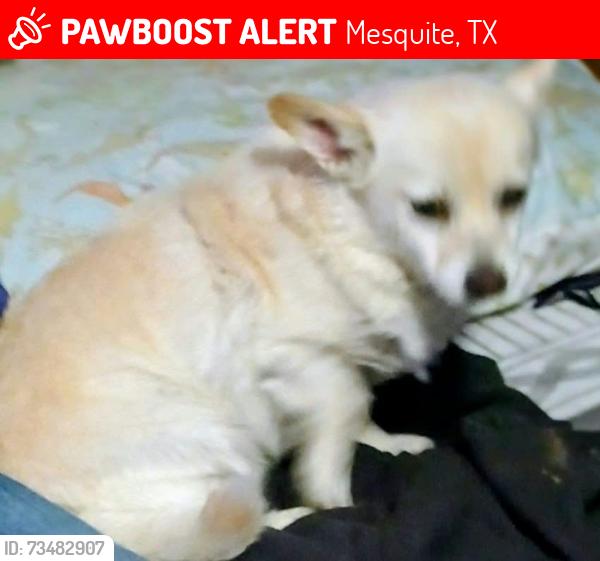 Lost Female Other last seen Emerald dr, Mesquite, TX 75150