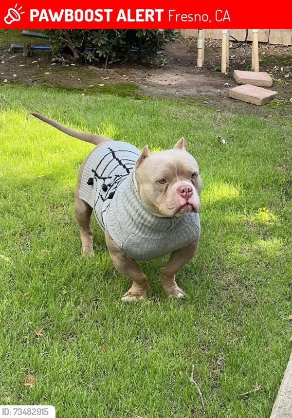 Lost Male Dog last seen Clinton and fruit, Fresno, CA 93705