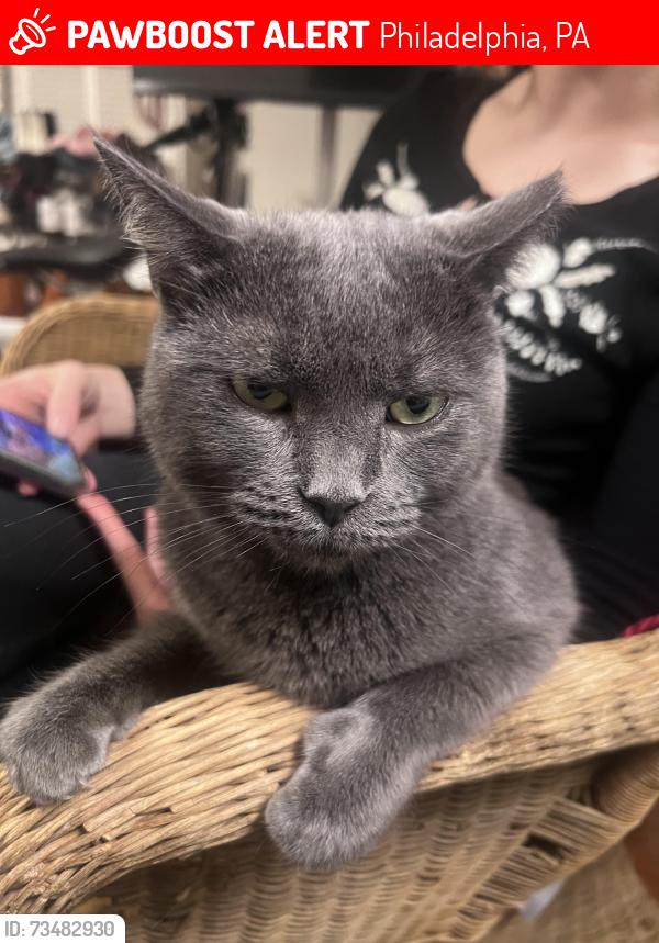 Lost Male Cat last seen 13th street and Dickinson, Philadelphia, PA 19147