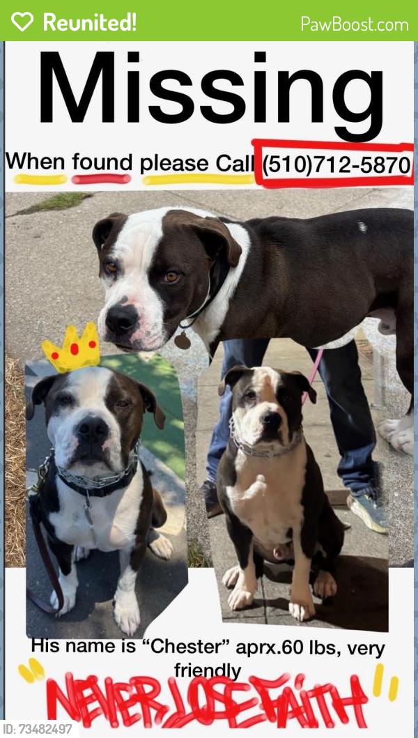 Reunited Male Dog last seen Near Euclid Ave, Oakland, CA 94610, USA, Oakland, CA 94610