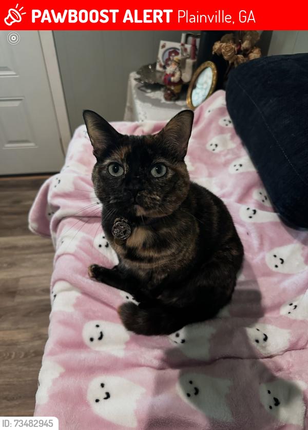 Lost Female Cat last seen Plainville Rd, Plainville, GA 30733