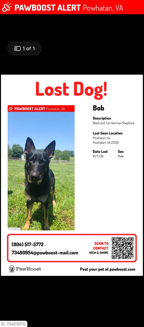 Lost Male Dog last seen Old tavern rd, Powhatan, VA 23139