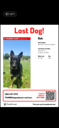 Lost Male Dog last seen Old tavern rd, Powhatan, VA 23139
