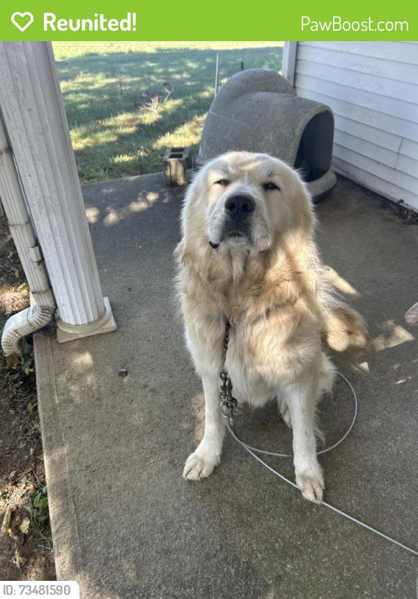 Reunited Male Dog last seen Near Kendal road, Dry Ridge, KY 41035
