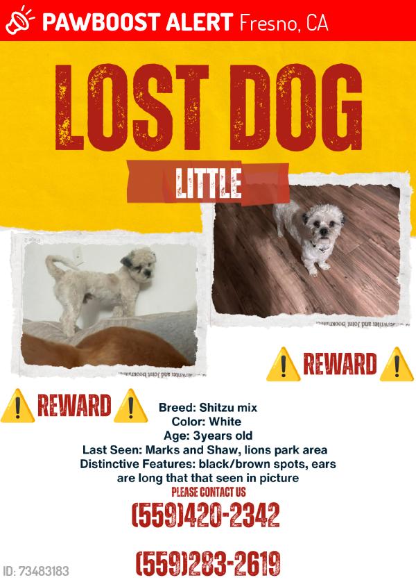 Lost Male Dog last seen Marks & shaw, Fresno, CA 93722