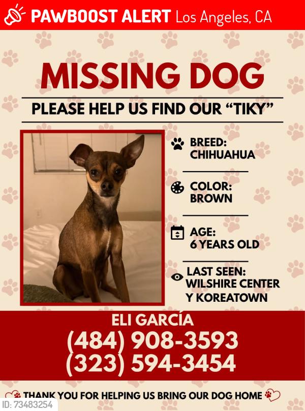 Lost Male Dog last seen Western & maplewood, Los Angeles, CA 90004