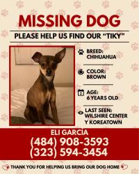 Lost Male Dog last seen Western & maplewood, Los Angeles, CA 90004