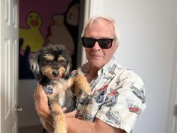 Reunited Female Dog last seen Ida and Orchard, Greenwood Village, CO 80111