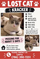 Lost Male Cat last seen Champion Lakes ests, Tomball, TX 77375