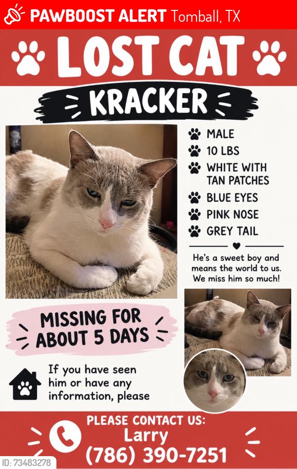 Lost Male Cat last seen Champion Lakes ests, Tomball, TX 77375