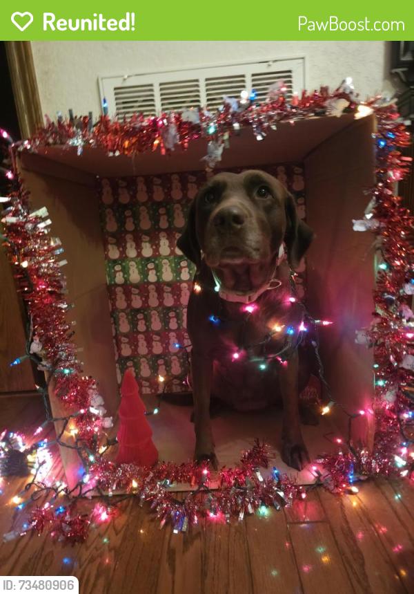 Reunited Female Dog last seen Near and skyforest, New Braunfels, TX 78130