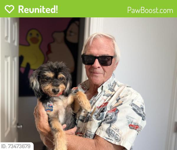 Reunited Female Dog last seen Ida and Orchard, Greenwood Village, CO 80111