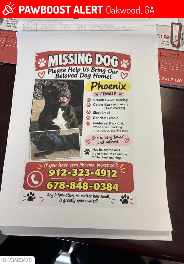 Lost Female Dog last seen The Reserve At Oaks Station Community, Oakwood, GA 30566