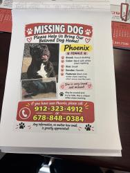 Lost Female Dog last seen The Reserve At Oaks Station Community, Oakwood, GA 30566