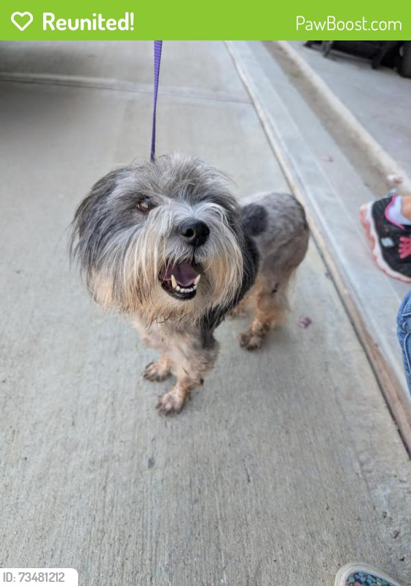 Reunited Female Dog last seen Near Princeton Hts Blvd, Princeton, TX 75407, USA, Princeton, TX 75407