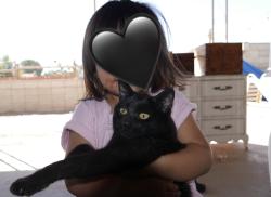 Lost Female Cat last seen Near smoke tree st Hesperia, Hesperia, CA 92345