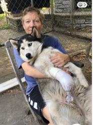 Lost Female Dog last seen Selby Avenue at Cretin, Saint Paul, MN 55104