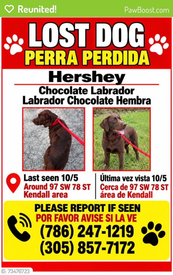 Reunited Female Dog last seen SW 78th St, Florida, USA, Miami-Dade County, FL 33156