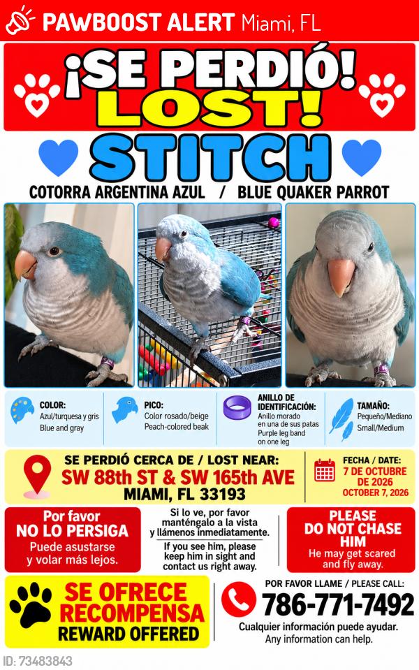 Lost Female Bird last seen Near SW 88 St Miami FL, Miami, FL 33193