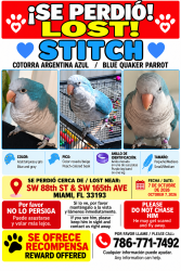 Lost Female Bird last seen Near SW 88 St Miami FL, Miami, FL 33193