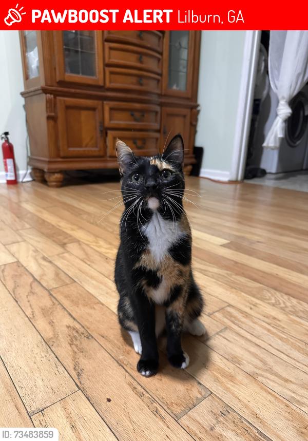 Lost Female Cat last seen Harbins road NW, Lilburn, GA 30047