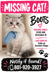 Reunited Male Cat last seen Near W 14600 S, Bluffdale, UT 84065