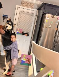 Lost Male Dog last seen Mobile gas station, Murfreesboro, TN 37129