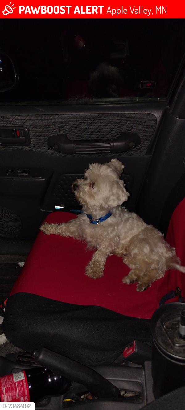 Lost Male Dog last seen Extra space storage, Apple Valley, MN 55124