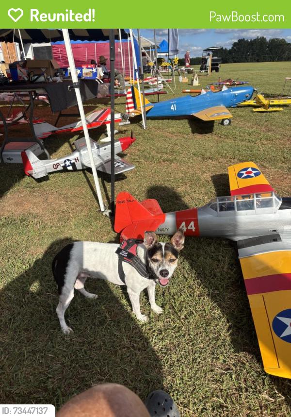 Reunited Female Dog last seen Citrus Springs blvd, Citrus Springs, FL 34434
