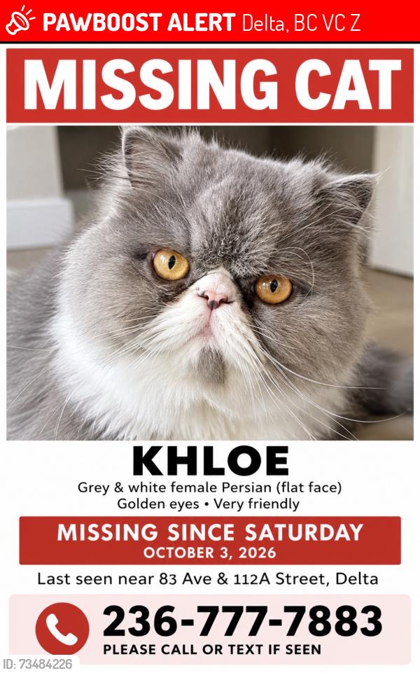 Lost Female Cat last seen 83rd and 112st delta, Delta, BC V4C 4Z2