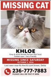 Lost Female Cat last seen 83rd and 112st delta, Delta, BC V4C 4Z2