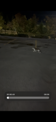 Found/Stray Unknown Cat last seen Lifemark, Aurora, ON L4G 0R5