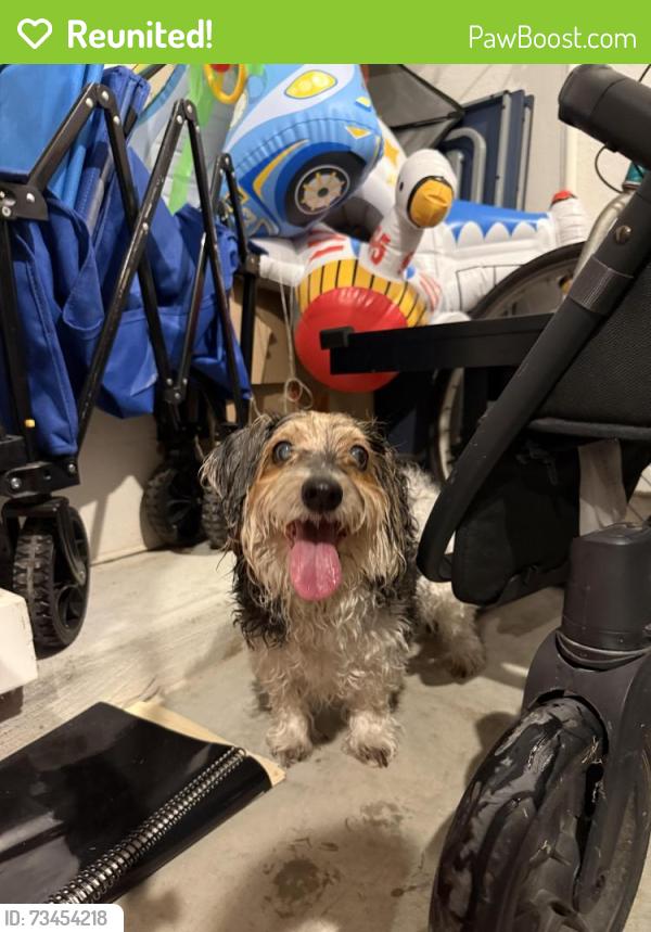 Reunited Unknown Dog last seen Midland hawthorn/migration way, Houston, TX 77433