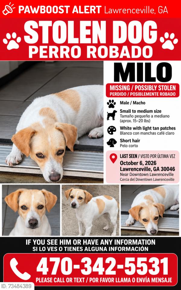Lost Male Dog last seen New hipe rd and papel mill rd, Lawrenceville, GA 30046
