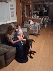 Lost Male Dog last seen Glade creek acres mhp, Taylorsville, NC 28681