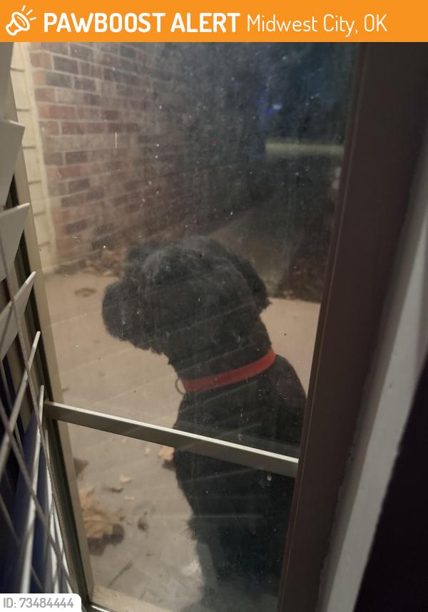 Found/Stray Unknown Dog last seen Douglas & Brookwood Dr, Midwest City, OK 73130