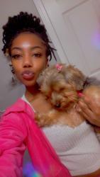 Lost Female Dog last seen Mabelvale, AR, Mabelvale, AR 72103