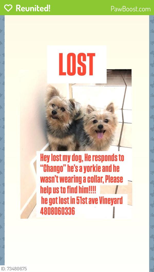 Reunited Male Dog last seen 51st ave, Vineyard, Phoenix, AZ 85339