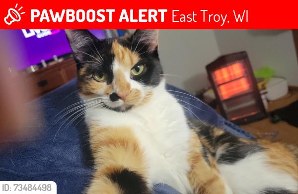 Lost Female Cat last seen Honey creek and highway 120, Waterford, WI 53185