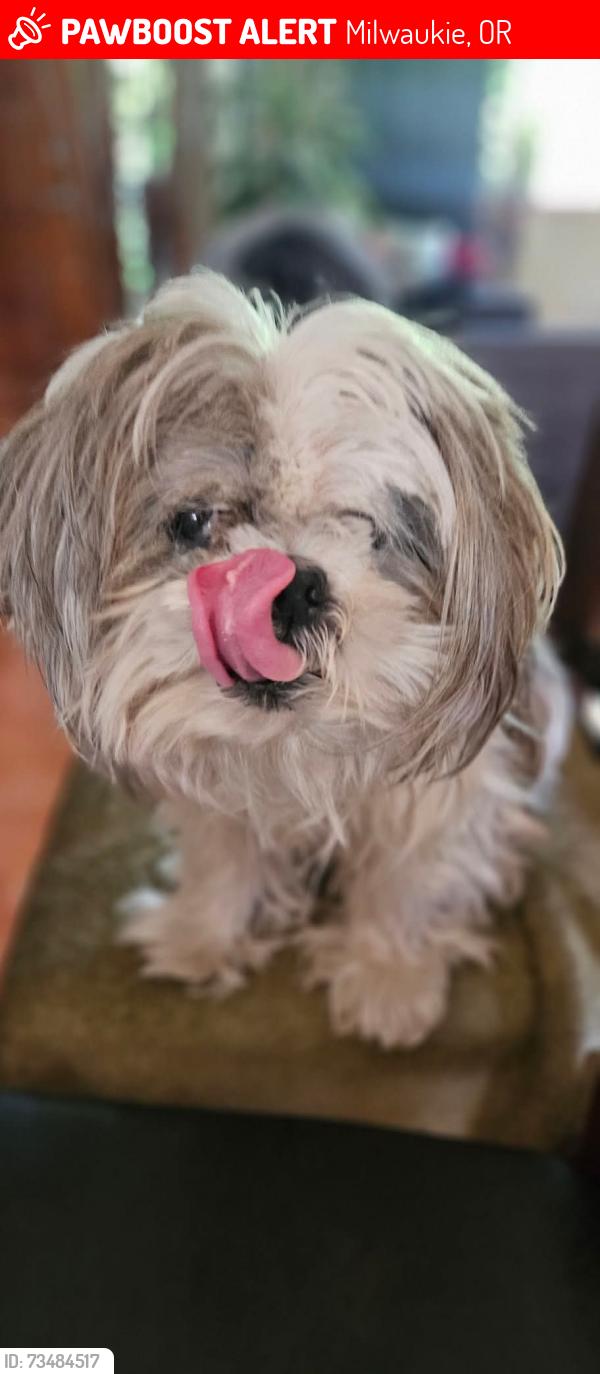 Lost Male Dog last seen SE ROOTS RD/SE WEBSTER RD, Milwaukie, OR 97267