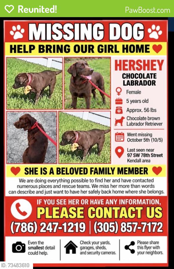 Reunited Female Dog last seen FL-997, hmstd, FL, USA, Homestead, FL 33030