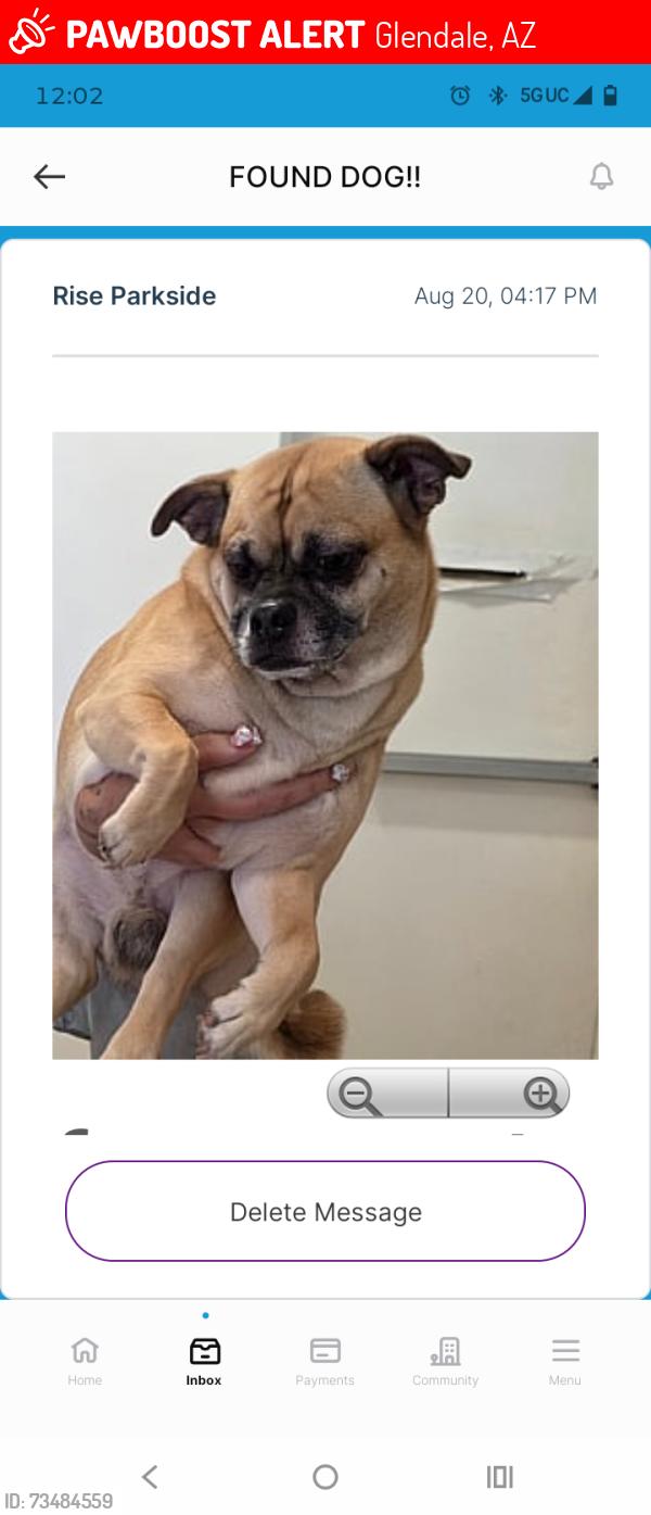 Lost Male Dog last seen Glendale, Glendale, AZ 85301