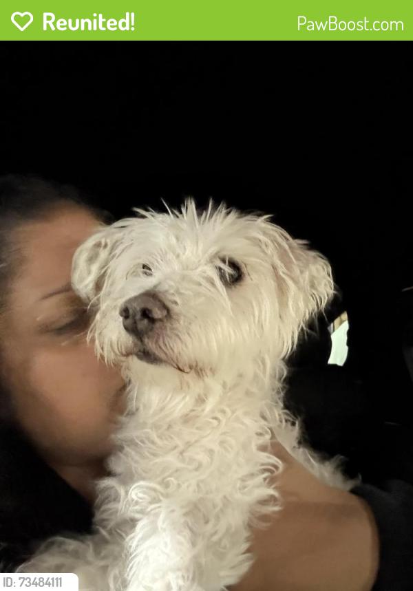 Reunited Male Dog last seen Skyridge rd and Northridge, Clermont, FL 34711